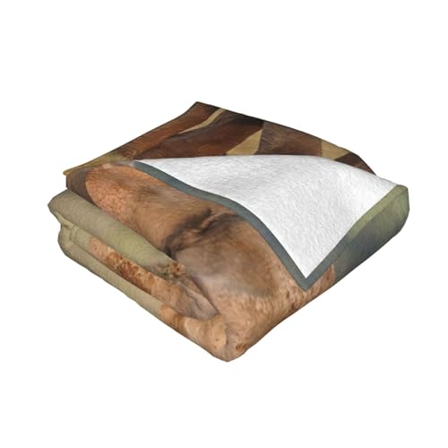 Couverture en flanelle éléphant 125x100 cm douce pour lit et canapé