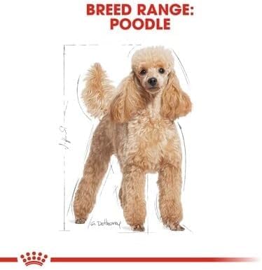 Royal Canin Poodle Adult | 500 g | Trockenfutter für ausgewachsene Poodle | Zur Unterstützung des Fells und des Muskeltonus | Für Hunde ab dem 10. Lebensmonat