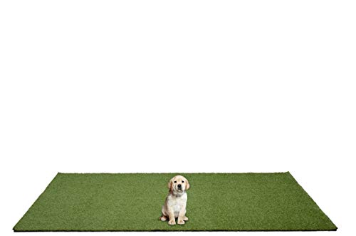Garland Rug Outdoor Artificial Grass Puppy Pad – 5' x 7' Non-Toxic, Realistic Turf with Drainage Holes & Easy-Clean Design, Perfect for Patios & Backyards by Garland Rug - Used condition - US$38.04