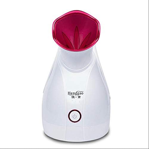 buy steamer online