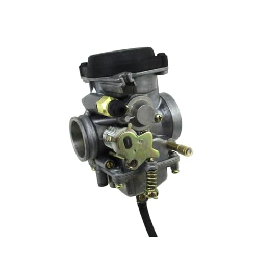 Lu^[ 250cc ATV f Roketa ^N Jetmoto JS250 GWɑΉ