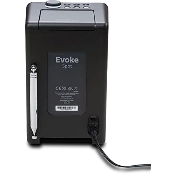 Pure Evoke Spot Sistema musicale compatto per la casa (radio DAB /FM, internet radio, podcast, Spotify Connect, Bluetooth e 20 Watt di potenza audio), Nero Caffè