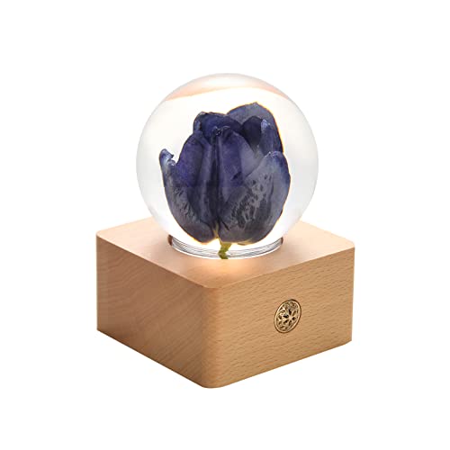 MISS LI GARDEN Forever Purple Tulip Elegant Present for Girlfriend