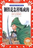 How the Steel Was Tempered 7806113347 Book Cover