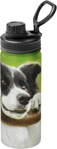 {[_[R[    ^fM ۉ ۗ X|[c{g XeX{g X|[cΉ RȂ 530ml j̎q ̎q  l q lC v[g