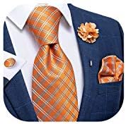 DiBanGu Silk Tie Woven Handkerchief Men's Necktie and Lapel Pin Brooch Set Paisley Plaid Solid Floral