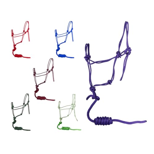 Licol de cheval violet et corde de guidage pour le paddock et l'écurie - 6
