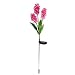 Samgo Outdoor Waterproof Solar Flower Battery Light Hyacinth for Garden, Balcony, Lawn Illumination (Pink)