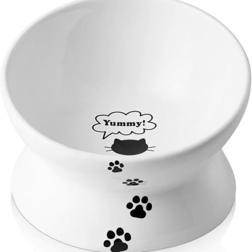 N&S 猫用 脚付ウォーターボウル レギュラー 電子レンジ&食器洗浄機対応 脚付フードボウル 猫 食べやすい 吐き戻し防止 洗いやすい 陶器製 飲水量が分かるメモリ付き 餌入れ(斜面) ホワイト