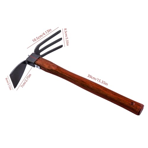 Garden Hoe and Rake for Digging, Weeding, Planting, and Soil Smoothing (C) - Image 2