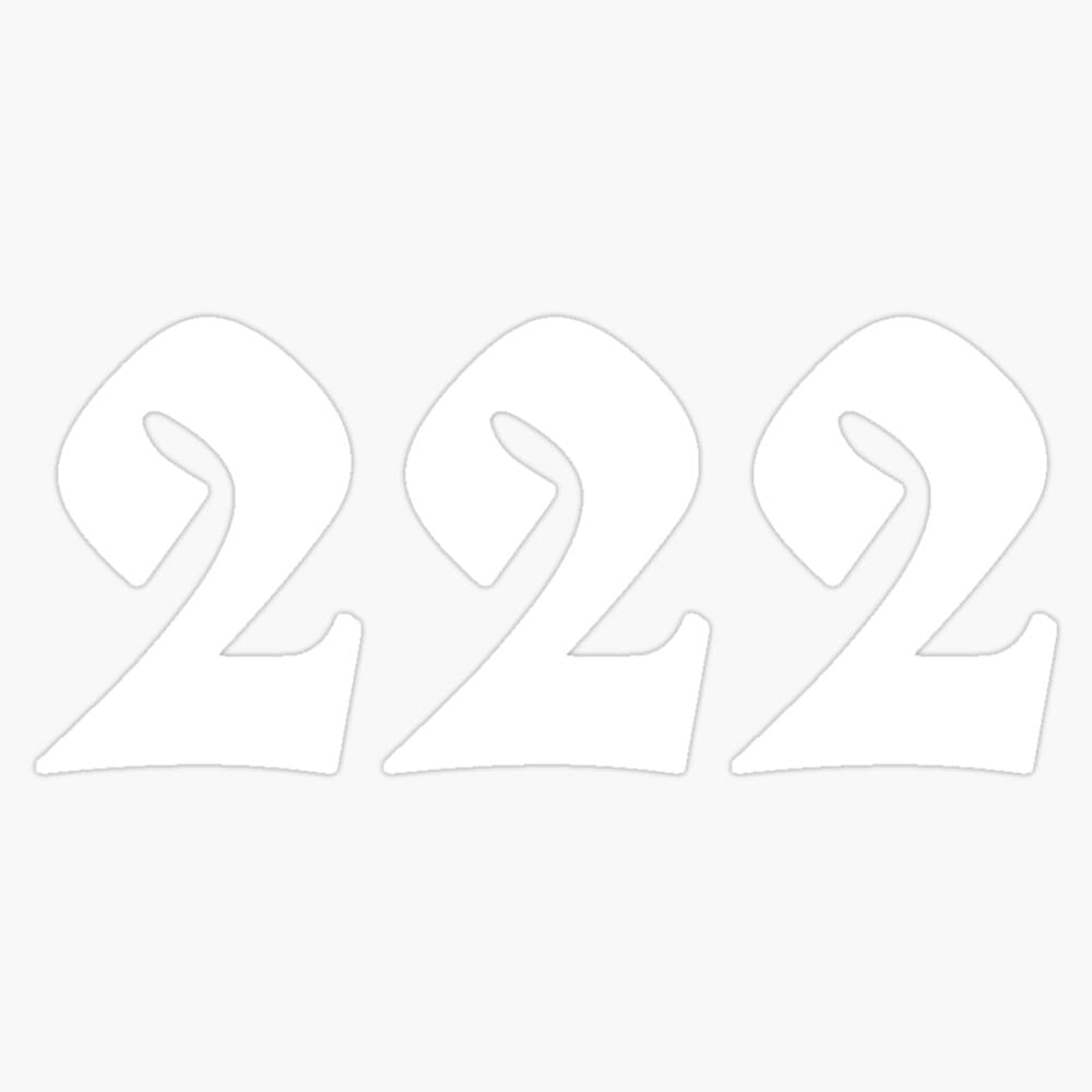 222 Angel Number Sticker Vinyl Waterproof Sticker Decal Car Laptop Wall Window Bumper Sticker 5"