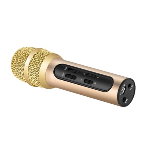 Microphone à main pour fête et karaoké en famille avec carte son ifundom