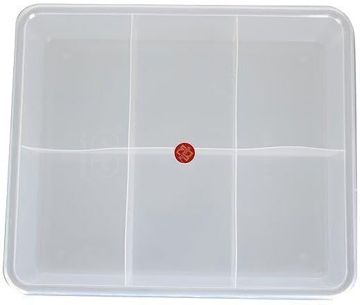 Sajana Plastic Grid Box Organizer for Jewelry, Hair Pins, Medicines, Craft Material, Hardware, 6 Compartments, White, 25x20x5.5 cm-image-9