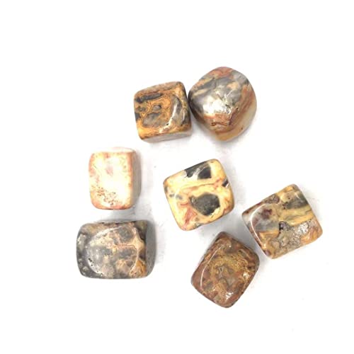 Crazy Agate Cube à textures denses, 10 minéraux polis de 15mm à 22mm