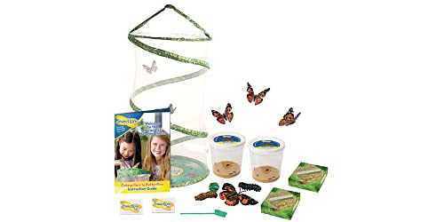 Insect Lore Giant Butterfly Garden with 6-10 Caterpillars and Lifecycle Stages