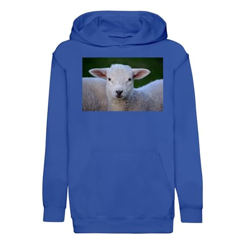 Sweat à capuche enfant mouton pour les sorties au parc et journées d'école