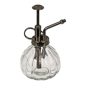 Glazen plantensproeier, spuitfles, plantennevels van glas met kunststof sproeipomp, voor het gieten van kleine planten in huis of op kantoor, 200 ml, helder antraciet