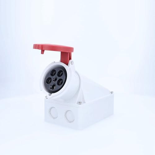 AS Schwabe 60434 CEE Wanddose 63 A 1 St.