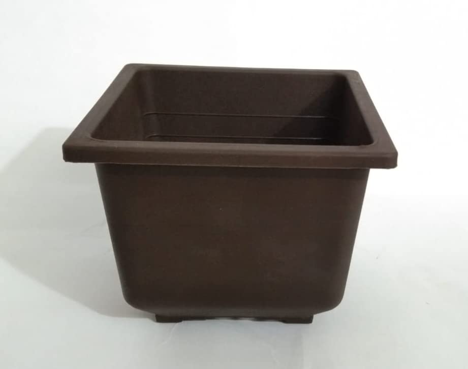 CAPPL 10 Cm Plant Pot, Square Plastic Bonsai Pots, Flower Succulent Pots Container (Coffee) for Garden, Indoor, Home Decorative (6 Pots) (B09WD3ZRKF) Amazon Price History, Amazon Price Tracker