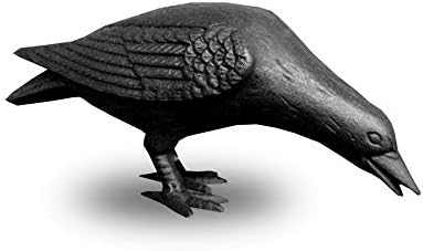 NACH Decorative Cast Iron Crow with Head Down for Indoor or Outdoor Use, Black, JS-90-7117