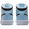 Nike Unisex-Child Air Jordan 10 Retro Gs