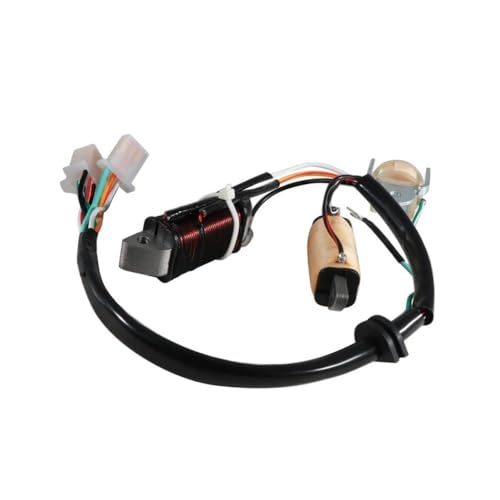 Bobine d'allumage de stator pour T80D et T80ED alternative 2MK-85560-M0