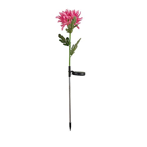 Lampe Solaire Chrysanthème pour illuminer vos soirées sur le patio