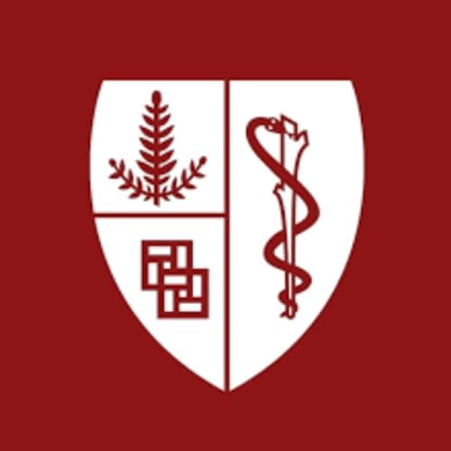 AI in Healthcare | Stanford Medicine Podcast Por AI in Healthcare | Stanford Medicine arte de portada