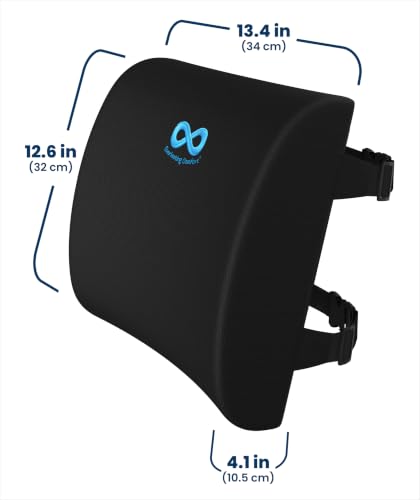Image of Everlasting Comfort Lumbar Support Pillow for Office Chair - Improves Posture, Promotes Back Pain Relief - Superior Back Support for Gaming and Desk Chairs - Lumbar Pillow for Car, Couch