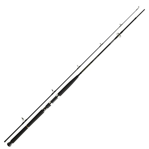 Daiwa BG Pilk 2,70m 40-100g Meeresrute Pilkrute