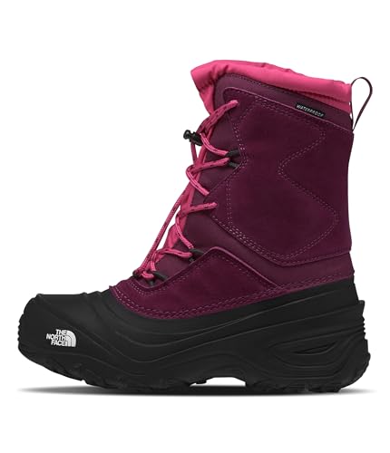 The North Face Teen Alpenglow V Waterproof Boot |...