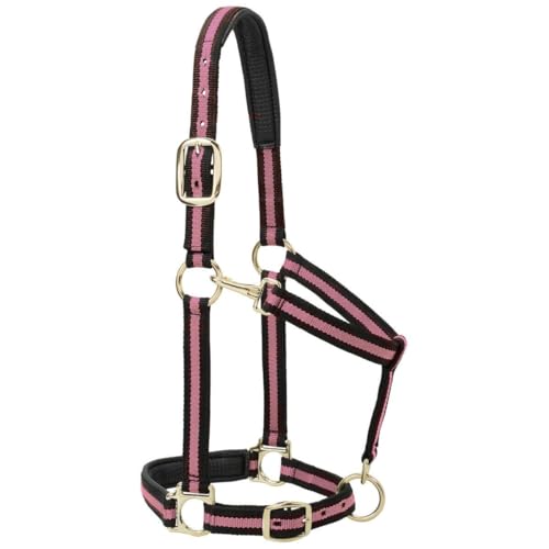 Licol pour cheval vert en nylon rembourré réglable sangle 25mm