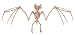 Crazy Bonez Skeleton - Bat Bonez