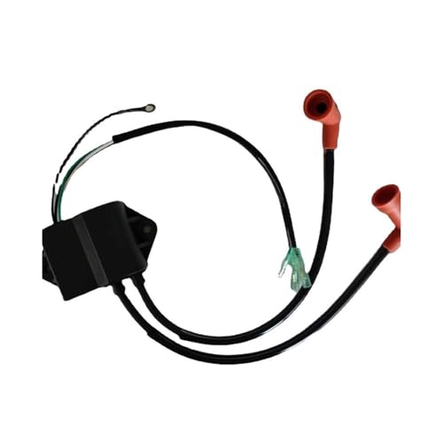 Moteur à allumage 9,9 CV résout panne démarrage 2 temps