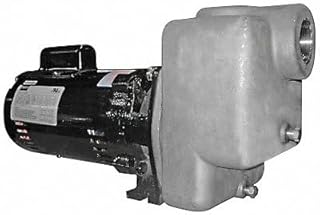 Dayton Self Priming Pump,1 HP,316 SS 5GUP2-1 Each