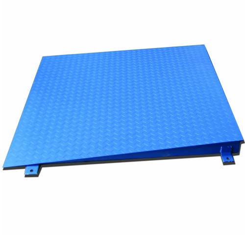 Selleton Ntep 4' X 4' (48'' X 48'') Floor Scale With Ramp 10,000 Lbs X 2 Lb/ Pallet Size #TOP1