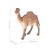 Imagen de TOYANDONA 12 Piezas Conjunto de Figuras de Animales de Granja de Plástico Juguetes Educativos para Animales Realistas para Decoración de Fiestas y Propósitos Educativos