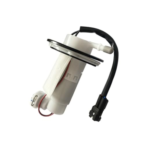Bomba de combustible para 250NK 300NK y CF250SR repuesto de motor