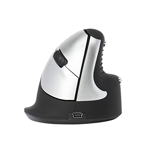 Souris verticale sans fil R-Go HE mousse