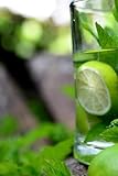  Water Intake Diary, track the amount of water drank daily to be healthy and help lose weight, or track water for boxer to make weight for a fight: ... showing you how much water you drink each day