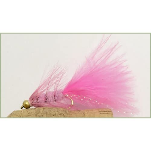 6 Pack of Goldhead Pink Woolly Bugger Trout flies, Choice of Sizes (10)