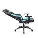 NEWSKILL Akeron Silla Gaming
