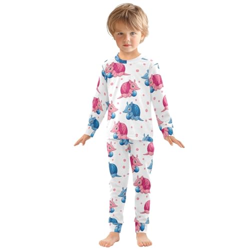 Pajama Sets Long Sleeve Cute Armadillos Playing with Balls Soft Comfy Sleepwear 2 Piece PJS 3-8T2