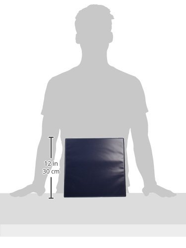 Image of Avery Durable View 3 Ring Binder, 3 Inch Slant Rings, 1 Blue Binder (17044)