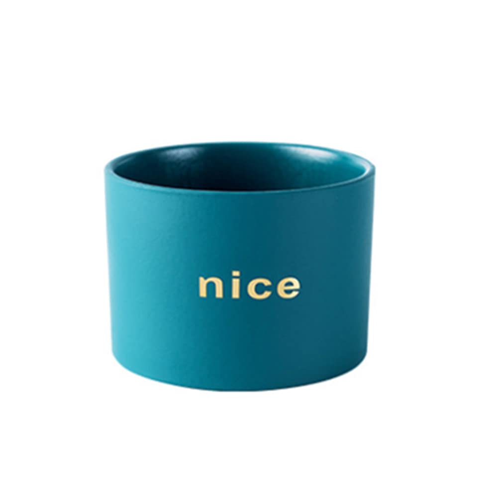 NTPHNB Creative Simplicity Ceramic Cactus Succulent Planter Pot Container Small (T)