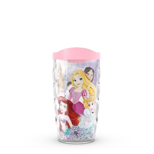 Tervis Disney princess drinking tumbler
