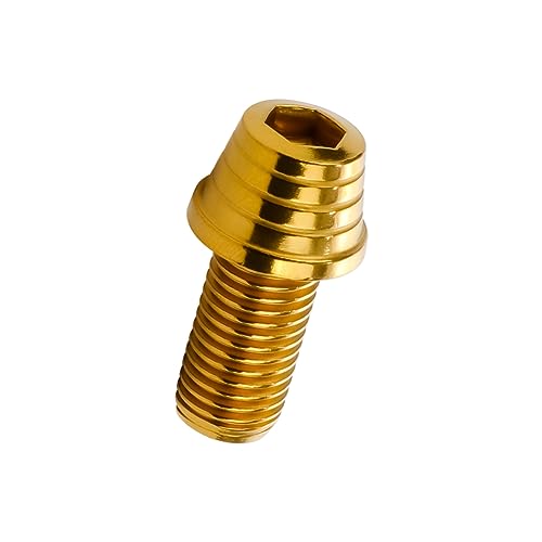 �L���b�v�{���g M10×20mm �e�[�p�[�V�F���w�b�h �X�e�����X�� �S�[���h �J�X�^���{���g 2�{�Z�b�g