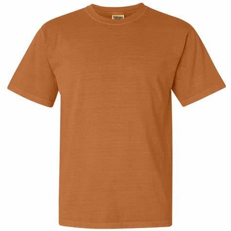 Image of Comfort Colors Adult Long Sleeve Style G6014 Tee