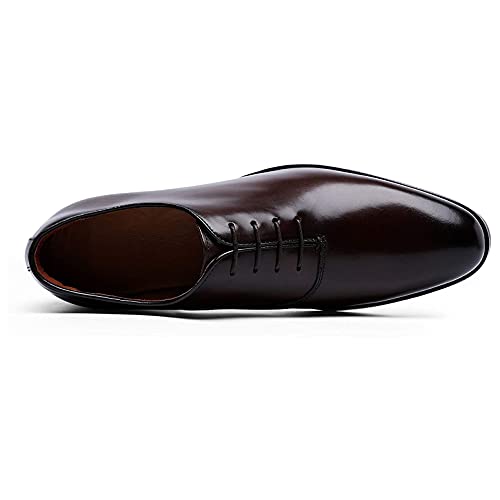 Zixer Synthetic Leather Ankle Formal Shoes Men || Office Shoes for Men Latest Stylish || Chukka Boots Men Long Shoes for Men Long Boots