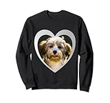 Photo Gallery t-shirt havanese - cane avanese - avanese felpa Photo Gallery t-shirt havanese - cane avanese - avanese felpa